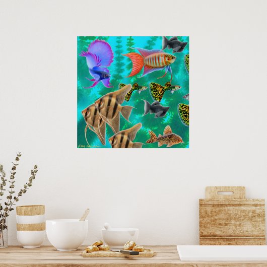 Aquarium-Poster voor zoetwater Poster (Keuken)