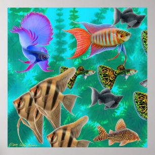 Aquarium-Poster voor zoetwater Poster