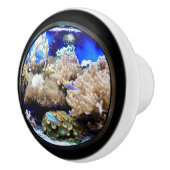 Aquarium Tropische vis en koraal Keramische Knop (Rechts)