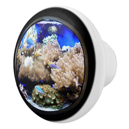 Aquarium Tropische vis en koraal Keramische Knop (Rechts)