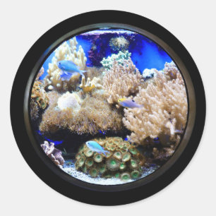Aquarium Tropische vis en koraal Ronde Sticker