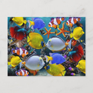 aquarium tropische vis vissen briefkaart