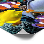 aquarium tropische vis vissen poster (Hoek)