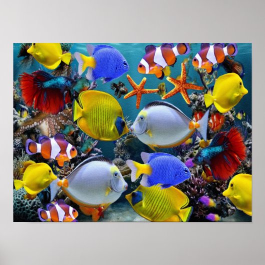 aquarium tropische vis vissen poster (Voorkant)