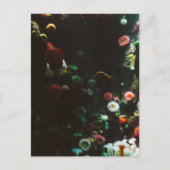 Aquarium van Canada, Toronto, Canada Briefkaart (Voorkant)