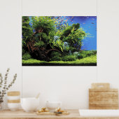 Aquarium van Freshwater Angelfish Poster (Keuken)
