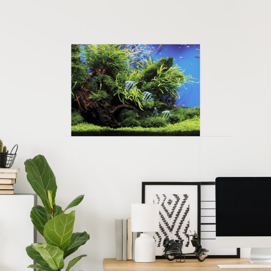 Aquarium van Freshwater Angelfish Poster (Thuiskantoor)