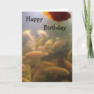 Aquarium Verjaardag Kaart