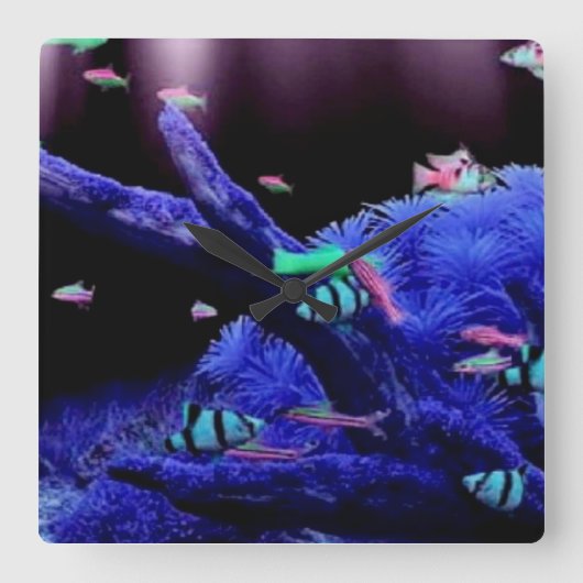Aquarium Vierkante Klok (Voorkant)
