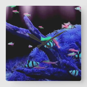 Aquarium Vierkante Klok