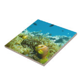 Aquarium vis tegeltje (Zijkant)