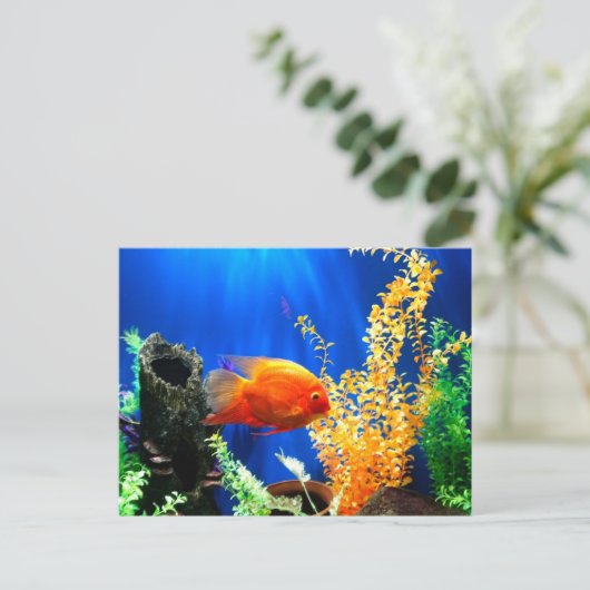 aquarium vistank briefkaart (Staand voorkant)