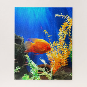 aquarium vistank legpuzzel