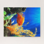 aquarium vistank legpuzzel (Horizontaal)