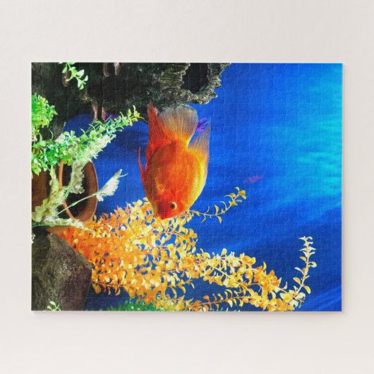 aquarium vistank legpuzzel (Horizontaal)