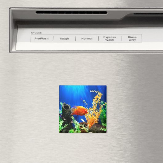 aquarium vistank magneet (Insitu (Vaatwasser))