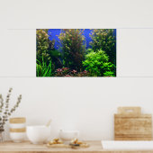 Aquarium voor aquarium Achtergrond Poster (Keuken)