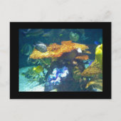 Aquariumkaart Briefkaart (Voorkant)