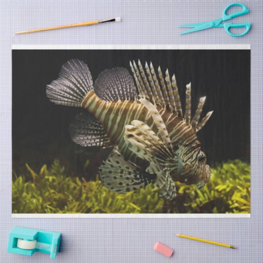 aquariumlionistisch weefselpapier tissuepapier (Craft)