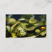 Aquariumprofielkaarten Visitekaartje (Achterkant)