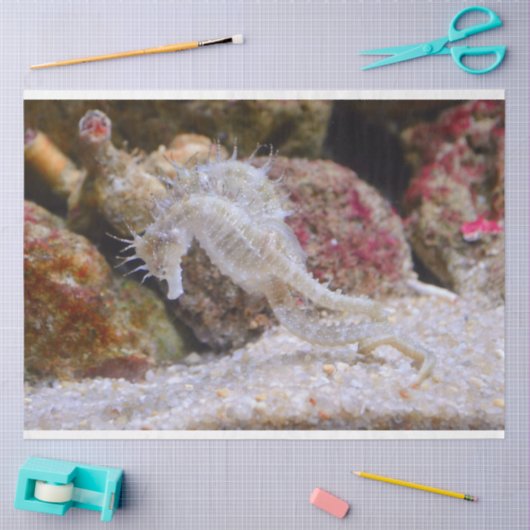 aquariumseahordepapier tissuepapier (Craft)