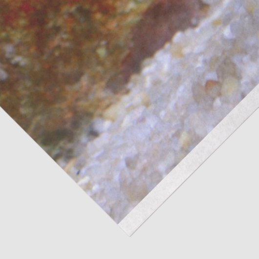 aquariumseahordepapier tissuepapier (Detail)