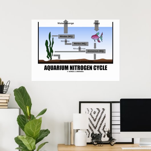 Aquariumstikstof-cyclus (ecologie) poster (Thuiskantoor)
