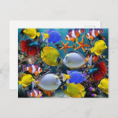 aquariumtropische visserij briefkaart (Voorkant / Achterkant)