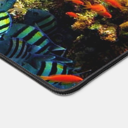 Aquariumvis Bureaumat (Hoek)