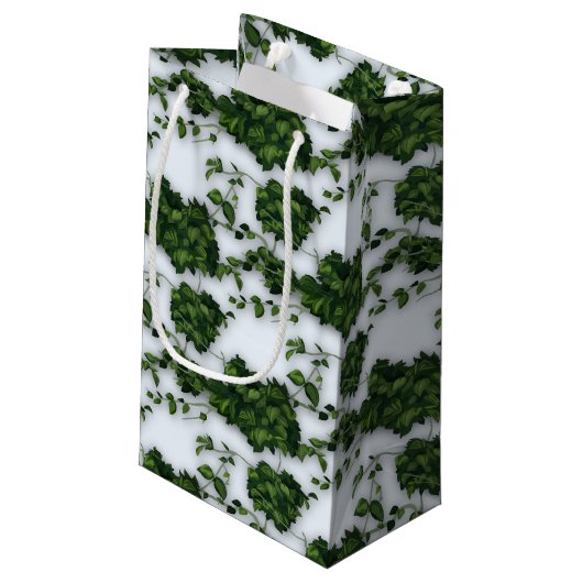 Aquarius Baby (jan 20 - feb 18) Waterdrager Klein Cadeauzakje (Achterkant Gekanteld)