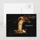 Aquarius Briefkaart (Voorkant / Achterkant)