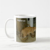 Aquarius Cat Zodiac Sign Mok (Links)