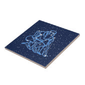 Aquarius Constellation and Sun Sign with Stars Cer Tegeltje (Zijkant)