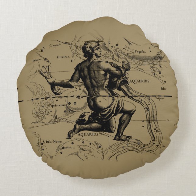  Aquarius Constellation door Hevelius 1690 Rond Kussen (Achterkant)