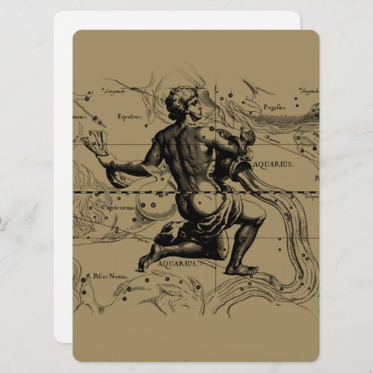Aquarius Constellation Hevelius 1690 jan 20 feb 18 (Voorkant / Achterkant)