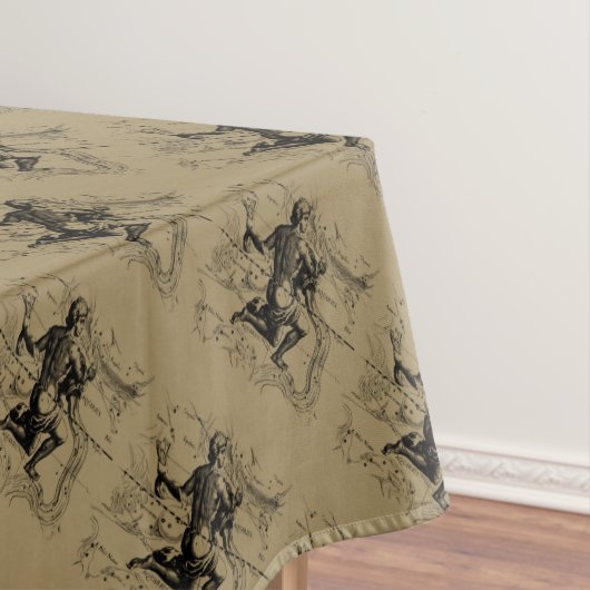 Aquarius Constellation Hevelius 1690 jan 20 feb 18 Tafelkleed (Voorbeeld)