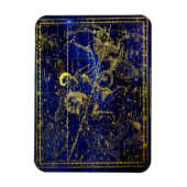 aquarius constellation magnet magneet (Verticaal)