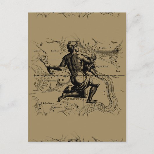 Aquarius Constellation Map door Hevelius Briefkaart (Voorkant)
