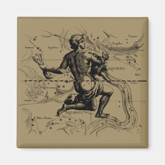 Aquarius Constellation Map door Hevelius Magneet (Voorkant)