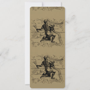 Aquarius Constellation Map Hevelius 1690 op Taupe