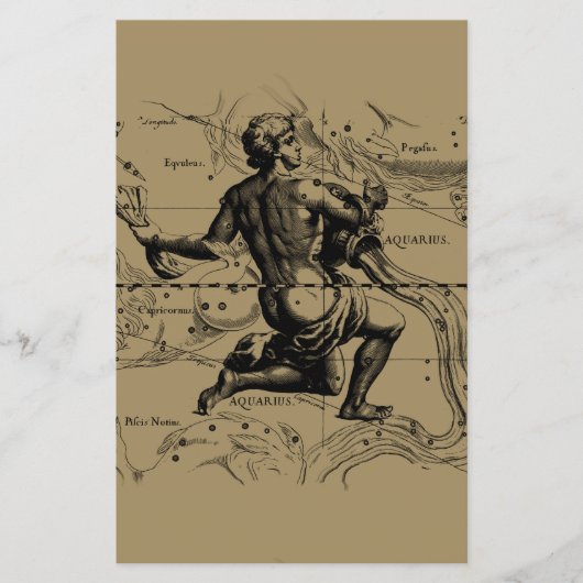 Aquarius Constellation Map Hevelius 1690 op Taupe Flyer (Voorkant)