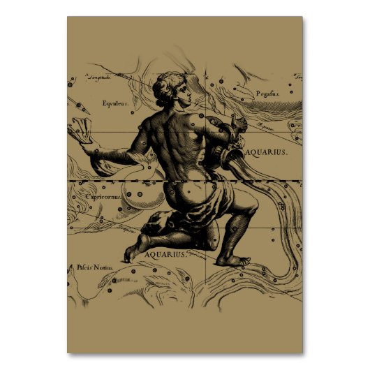 Aquarius Constellation Map Hevelius 1690 op Taupe Kaart (Voorkant)