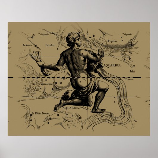 Aquarius Constellation Map Hevelius 1690 op Taupe Poster (Voorkant)