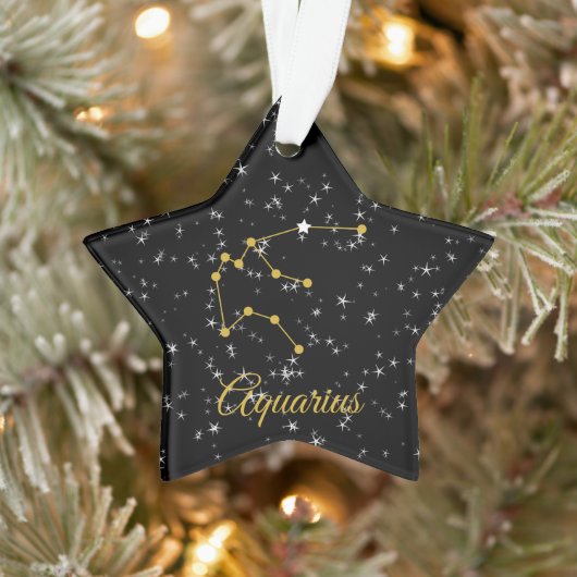 Aquarius Constellation Ornament (Boom)