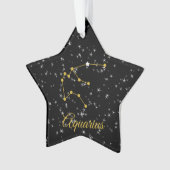Aquarius Constellation Ornament (voorkant)