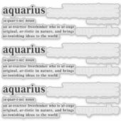 Aquarius Definitie Esthetische Astrologie Cadeau Sticker (Voorkant)