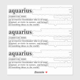 Aquarius Definitie Esthetische Astrologie Cadeau Sticker