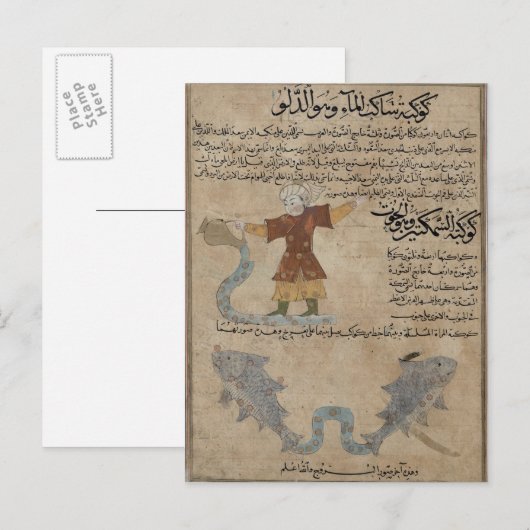 Aquarius en Pisces Briefkaart (Voorkant / Achterkant)