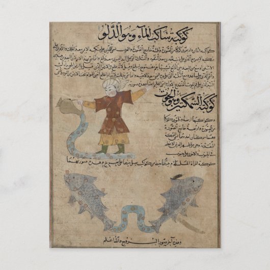 Aquarius en Pisces Briefkaart (Voorkant)