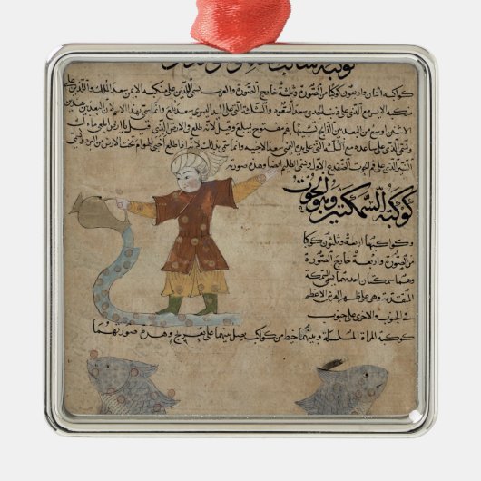 Aquarius en Pisces Metalen Ornament (Voorkant)